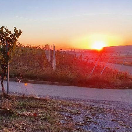 Апартаменты Weingut Will Und Wuerz Lemberger Schwaigern Экстерьер фото