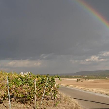 Апартаменты Weingut Will Und Wuerz Lemberger Schwaigern Экстерьер фото