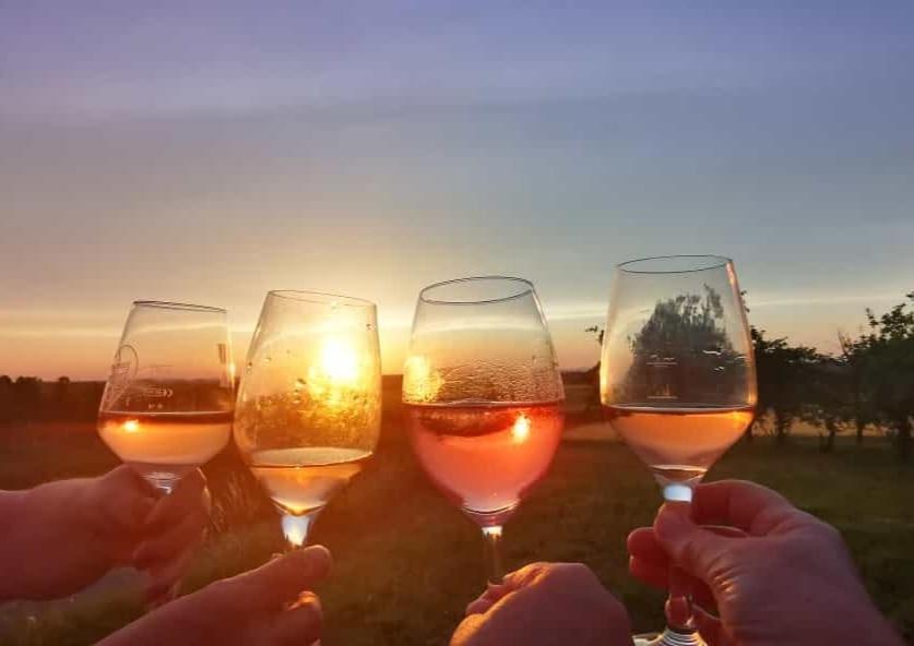 Апартаменты Weingut Will Und Wuerz Lemberger Schwaigern Экстерьер фото