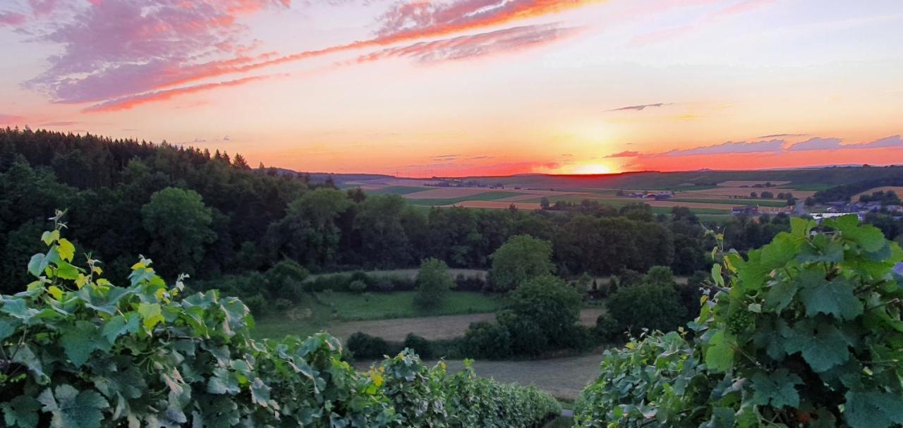 Апартаменты Weingut Will Und Wuerz Lemberger Schwaigern Экстерьер фото