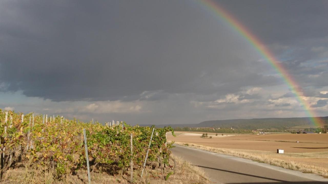 Апартаменты Weingut Will Und Wuerz Lemberger Schwaigern Экстерьер фото