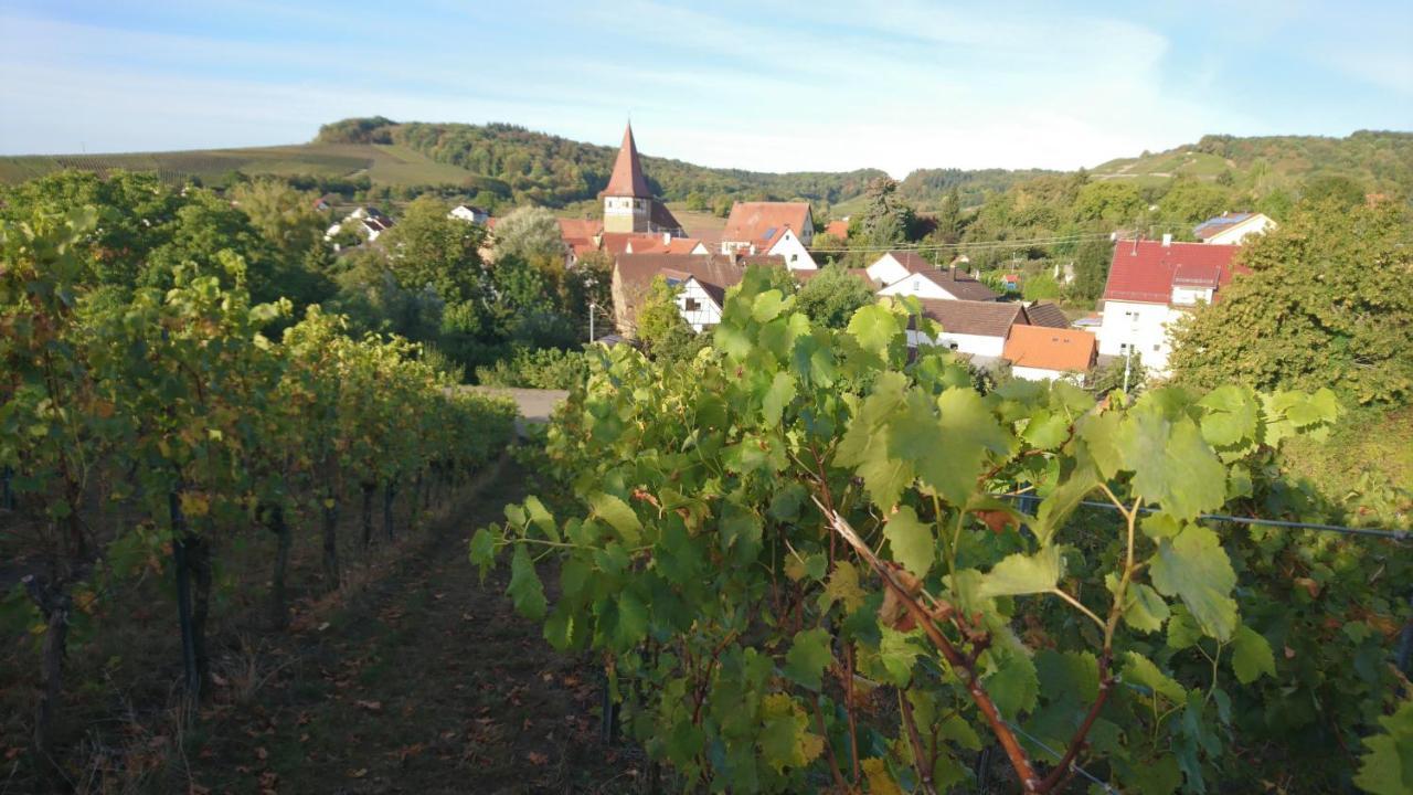 Апартаменты Weingut Will Und Wuerz Lemberger Schwaigern Экстерьер фото